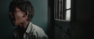 lion filme